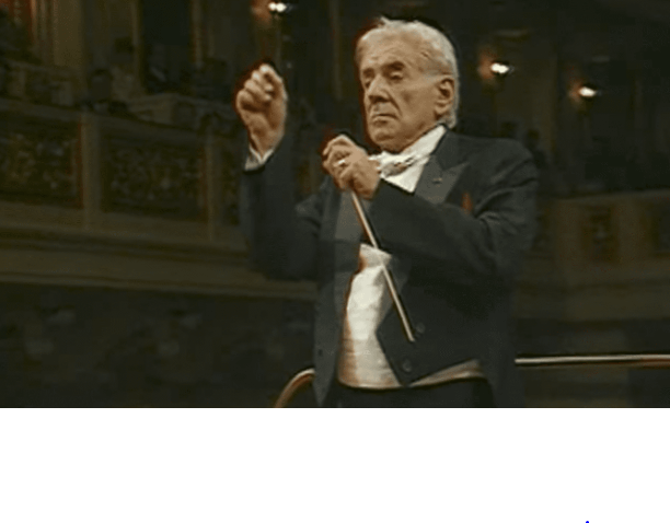Leonard Bernstein on Ode to Joy